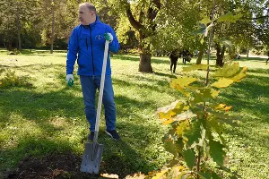 Мурат Кумпилов на субботнике в Майкопе &copy;&nbsp;Фото пресс-службы главы Адыгеи