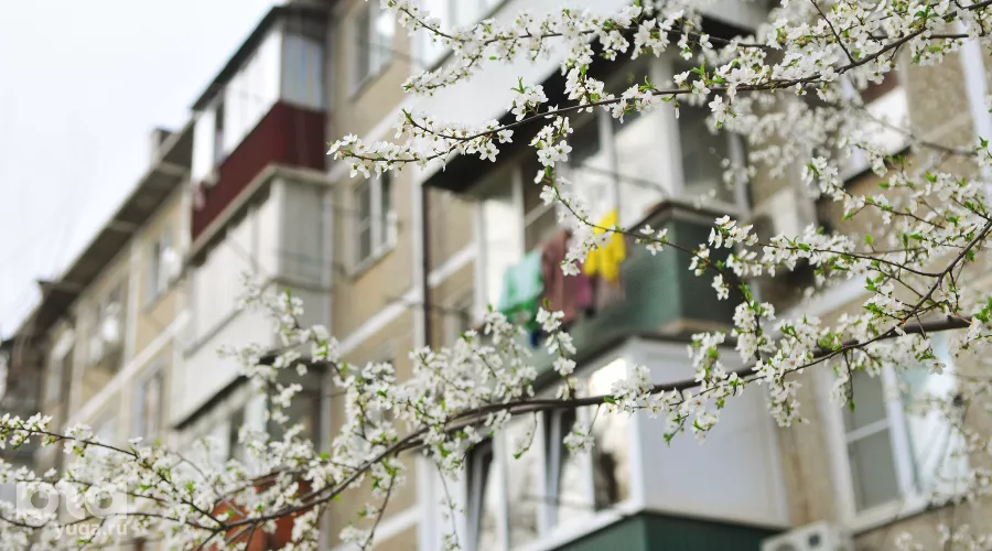  &copy;&nbsp;Фото Марины Солошко, Юга.ру