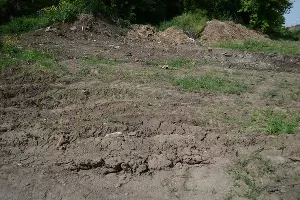  &copy;&nbsp;Фото Александра Райко, пресс-служба администрации Краснодара