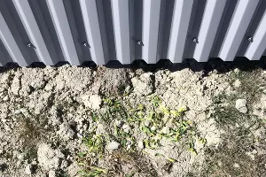 Специалисты и жители находят растения после прополки &copy;&nbsp;Фото местных жителей