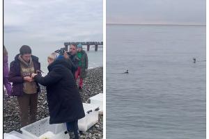  &copy;&nbsp;Скриншот из телеграм-канала эколога Романа Пукалова https://t.me/Roman_eco/269