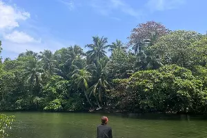 На Шри-Ланке &copy;&nbsp;Фото Иолины Грибковой, Юга.ру