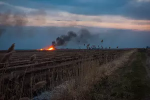  &copy;&nbsp;Фото Елены Синеок, Юга.ру