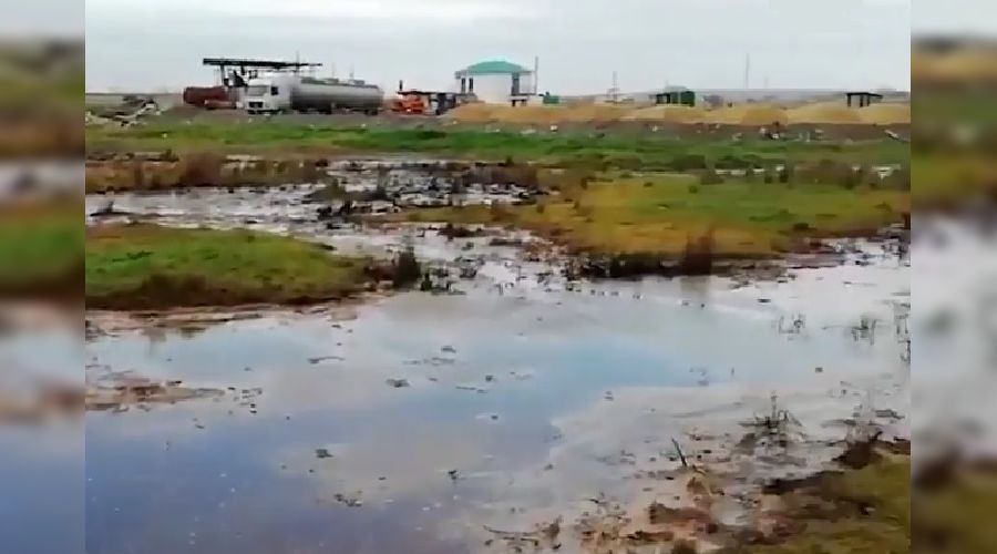  © Скриншот из видео на странице instagram.com/ulica_kaminskogo