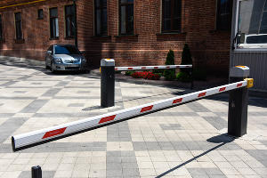  &copy;&nbsp;Фото Елены Синеок, Юга.ру