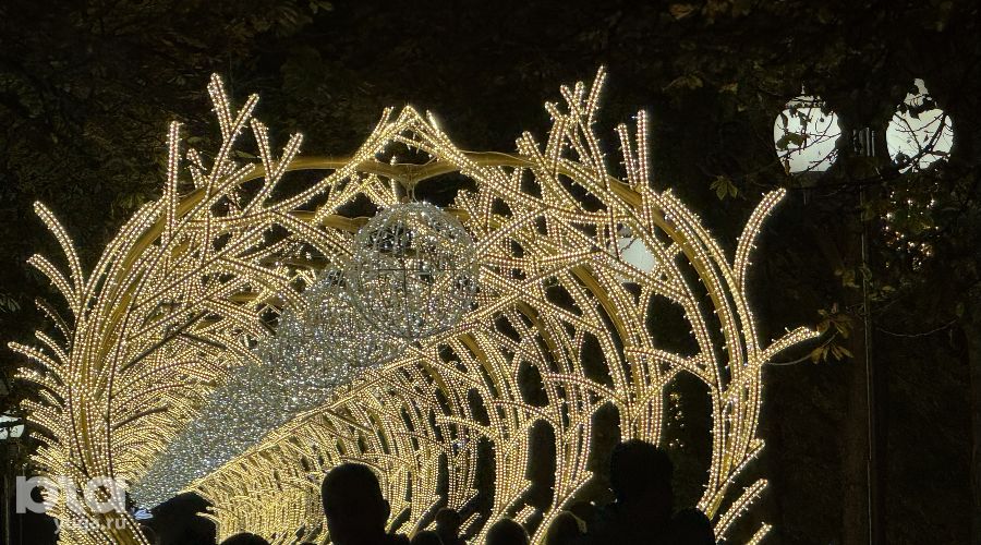  &copy;&nbsp;Фото Марии Журавлевой, Юга.ру