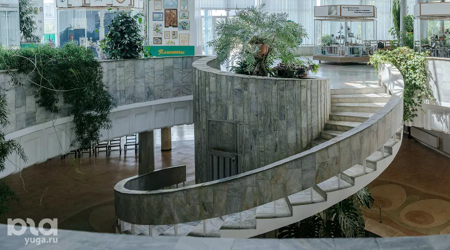 Музей Дерева Дружбы в Сочи &copy;&nbsp;Фото Юли Шафаростовой, Юга.ру