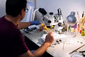 Реставратор Николай Левитин расчищает монеты, найденные в этом году &copy;&nbsp;Фото Юли Шафаростовой, Юга.ру