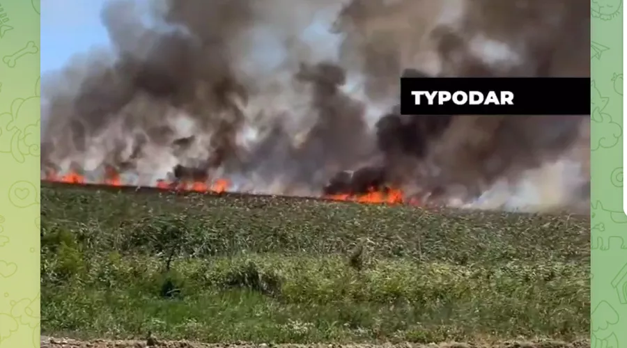 Пожар на Озере лотосов в Белозерном, 14 июля 2024 г. &copy;&nbsp;Скриншот публикации в телеграм-канале &laquo;Туподар&raquo;, t.me/typodar