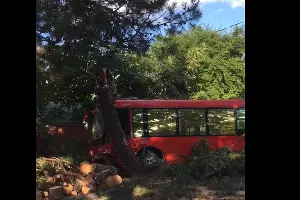  &copy;&nbsp;Скриншот видео из телеграм-канала t.me/anapanovosti/16928