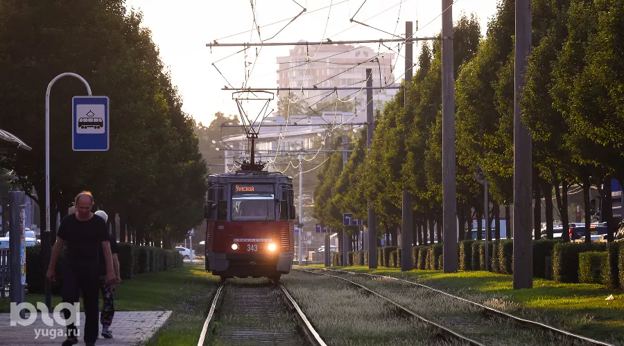  &copy;&nbsp;Фото Елены Синеок, Юга.ру