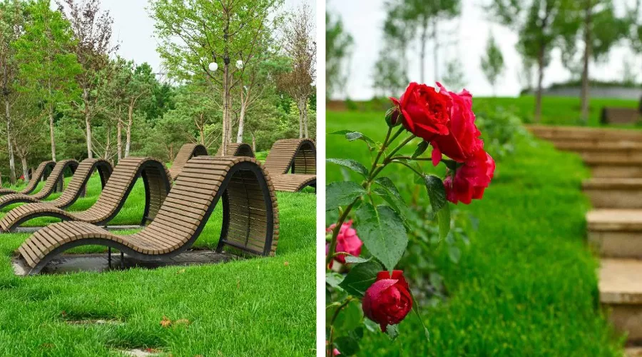  &copy;&nbsp;Скриншот из телеграм-канала &laquo;парк Краснодар&raquo;