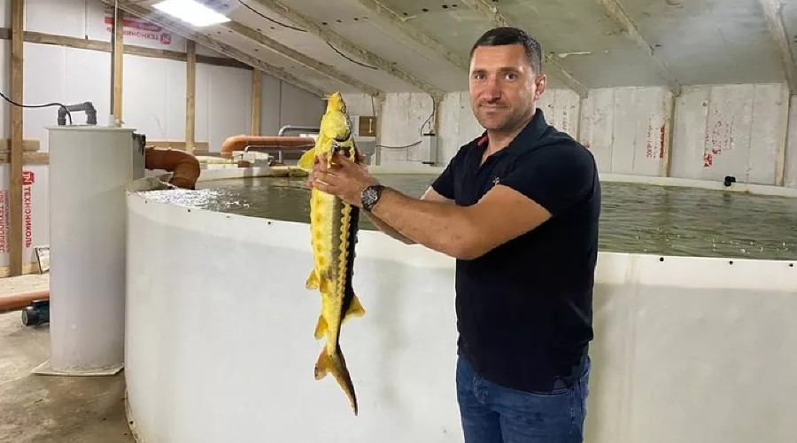 Фермер из Красногвардейского района Адыгеи Роман Шестов &copy;&nbsp;Фото предоставлено пресс-службой главы Адыгеи