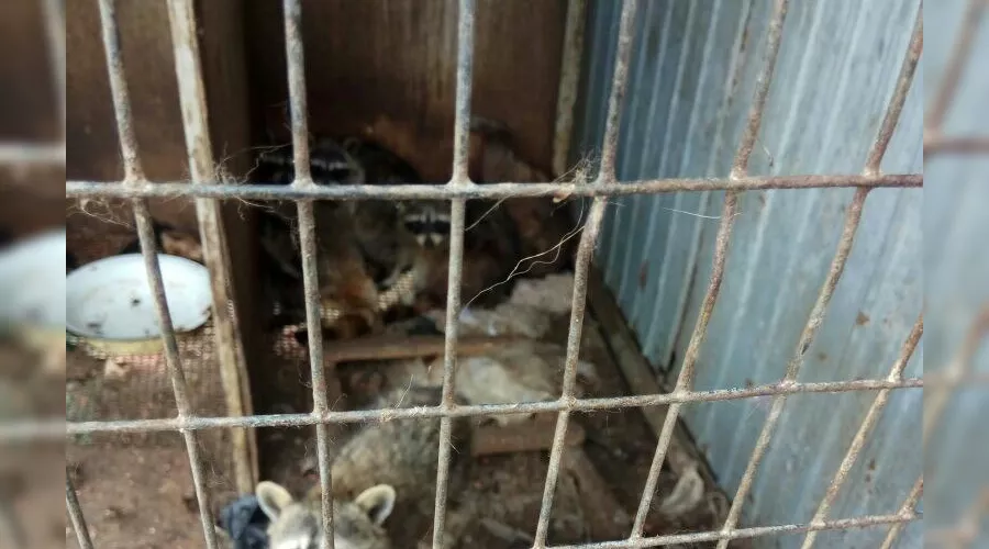  &copy;&nbsp;Фото из группы &laquo;Ростов Главный - новости Ростова-на-Дону&raquo; &laquo;ВКонтакте&raquo;, vk.com/rostovnadonu