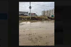 Улица Батуринская в Краснодаре &copy;&nbsp;Фотография предоставлена Яной Заславец