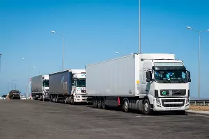  &copy;&nbsp;Фото Елены Синеок, Юга.ру