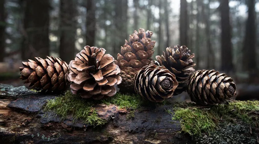 Изображение сгенерировано нейросетью Gigachat &copy;&nbsp;Фото Юга.ру