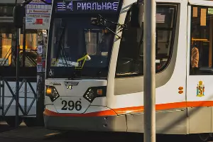  &copy;&nbsp;Фото Khristina Sergeychik, unsplash.com