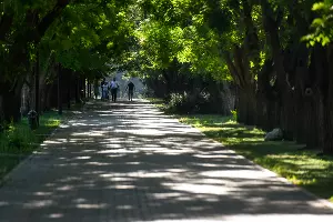  &copy;&nbsp;Фото Елены Синеок, Юга.ру