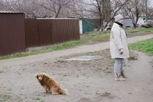  &copy;&nbsp;фото Дениса Яковлева, Юга.ру