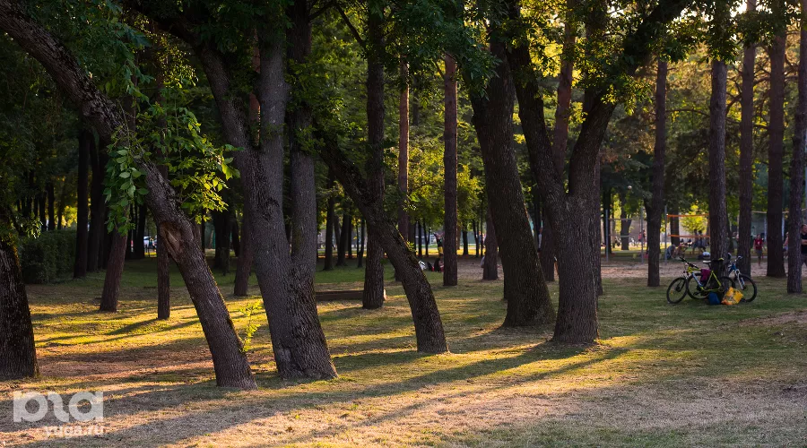  &copy;&nbsp;Фото Елены Синеок, Юга.ру
