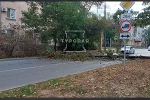  &copy;&nbsp;Скриншот из телеграм-канала &laquo;Туподар&raquo; https://t.me/typodar/34067