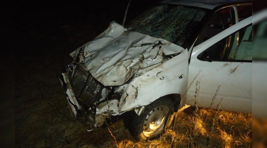  &copy;&nbsp;фото ОПБДД УГИБДД по Ставропольскому краю