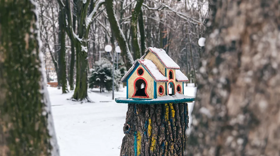  &copy;&nbsp;Фото pvproductions, сайт freepik.com