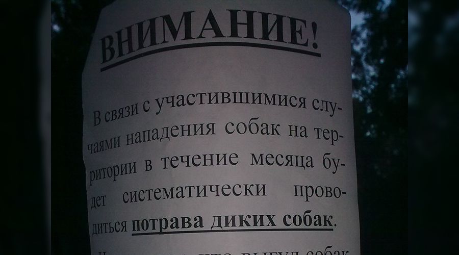  © Фото Олега Шевцова