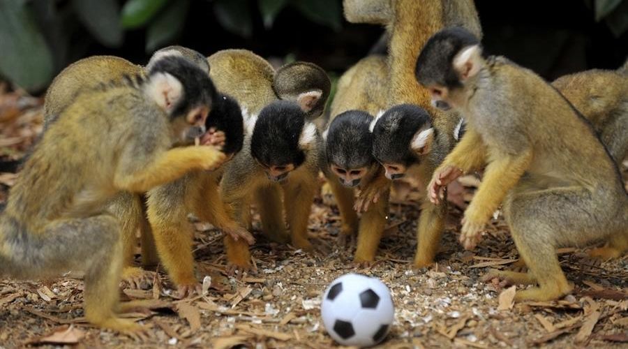  &copy;&nbsp;Фото с сайта europe-today.ru