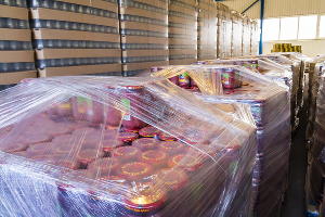  &copy;&nbsp;Фото предоставлено пресс-службой АО &laquo;Комбинат &laquo;Дары Кубани&raquo;