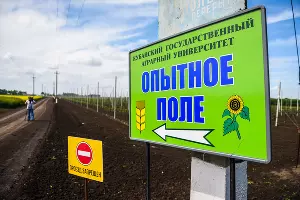 Опытная станция учхоза &laquo;Кубань&raquo; &copy;&nbsp;Фото Елены Синеок, Юга.ру