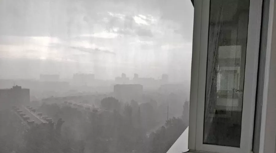  &copy;&nbsp;Фото из аккаунта plahovnix, www.instagram.com/plahovnix