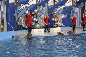  &copy;&nbsp;Фото пресс-службы администрации Сочи