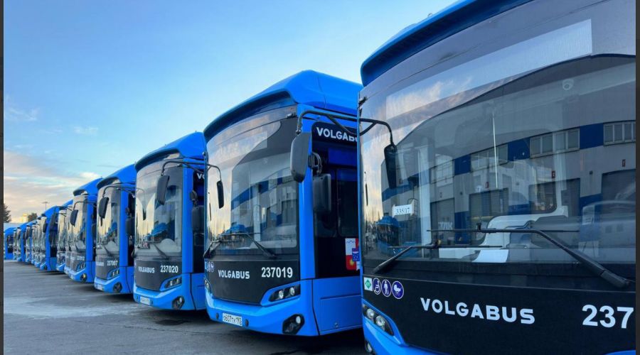  &copy;&nbsp;Скриншот из телеграм-канала замглавы Сочи по экономике и финансам Светланы Калининой https://t.me/KalininaSvetlana_Vladimirovna/3978