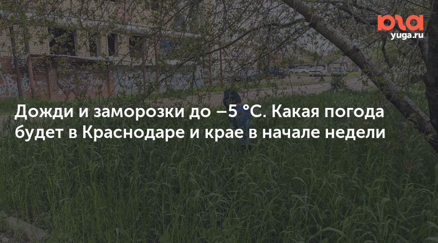 Дожди и заморозки до –5 °C. Какая погода будет в Краснодаре и крае в начале недели
