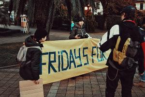  © Фото предоставлены движением Fridays For Future по Сочи