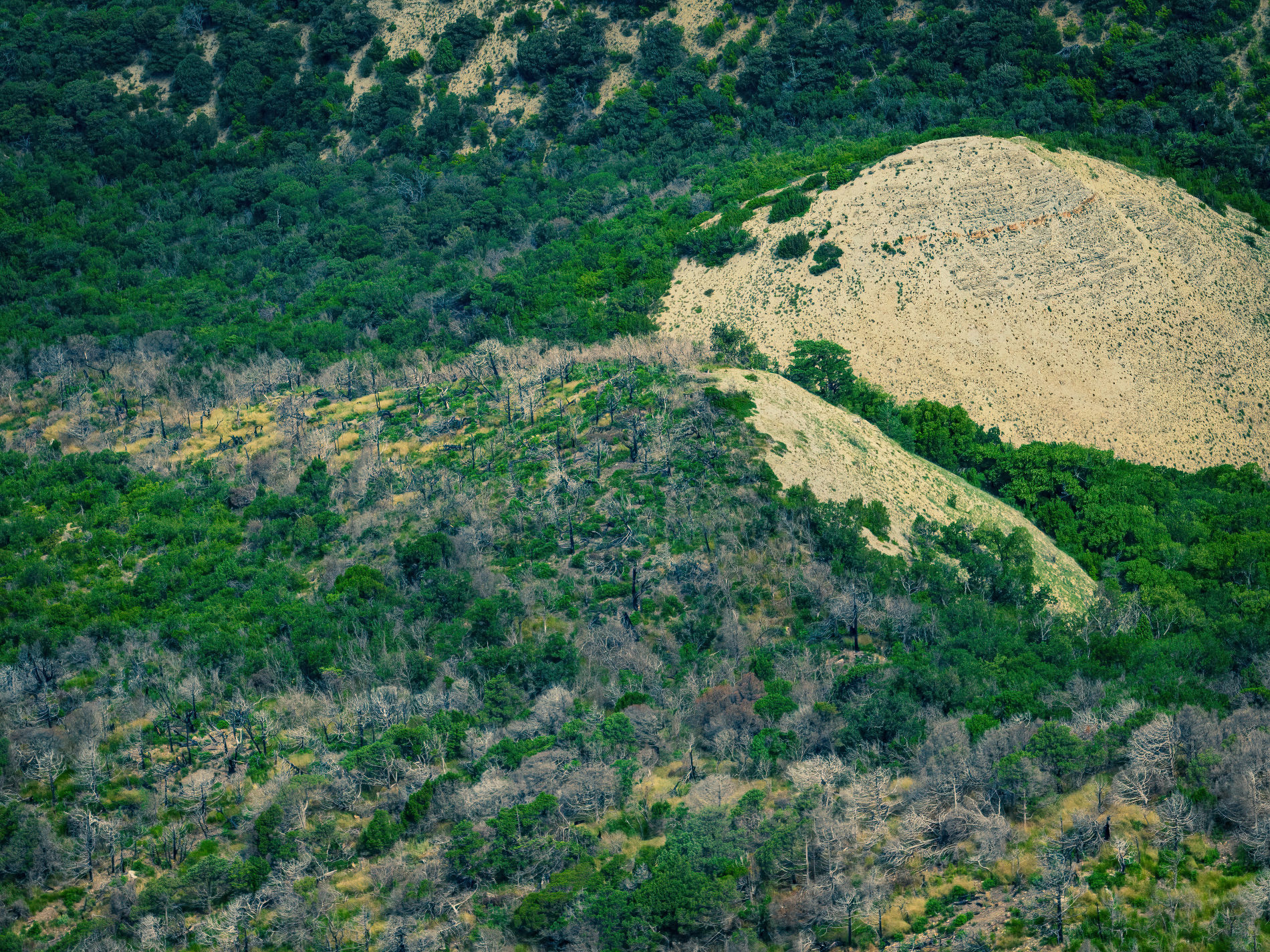 Обрывы на восточной стороне горы Кобыла с берега не видны © Фото Антона Быкова, Юга.ру