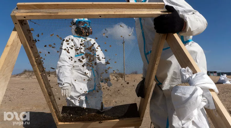  &copy;&nbsp;Фото Полины Безверхой, Юга.ру