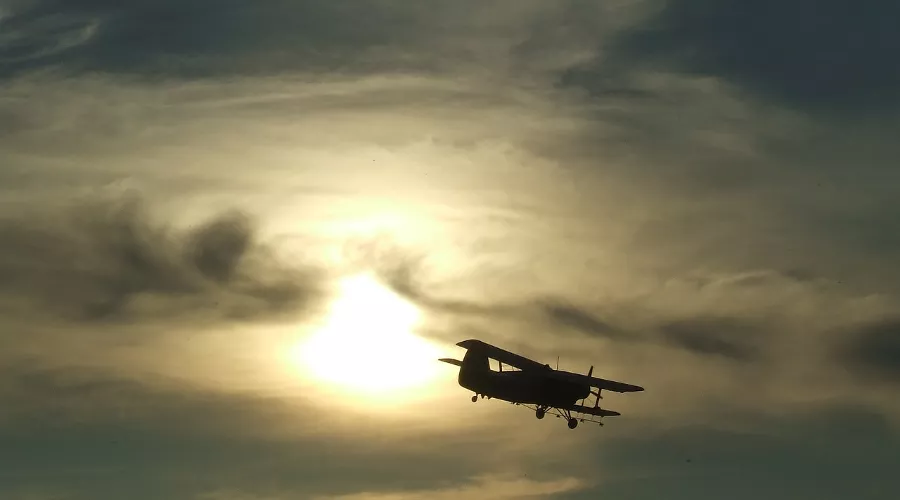  &copy;&nbsp;Фото с сайта pixabay.com