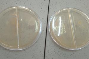  &copy;&nbsp;Фото Елены Малышевой, Юга.ру