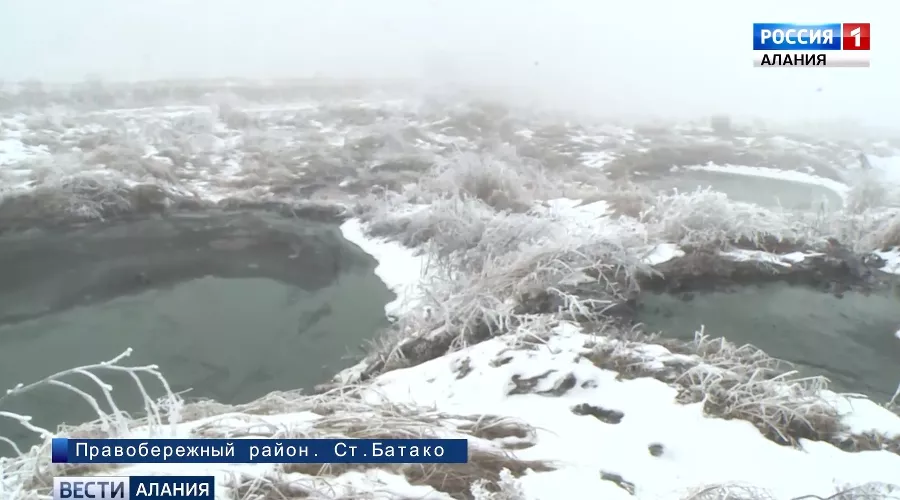  &copy;&nbsp;Скриншот из видео на alaniatv.ru