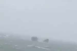  &copy;&nbsp;Кадр из видео телеграм-канала t.me/love_sochi