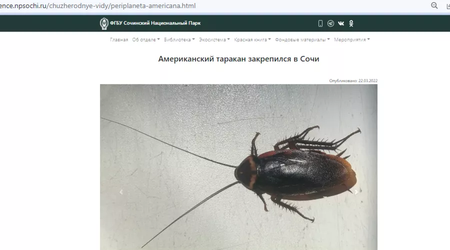  &copy;&nbsp;Скриншот с сайта npsochi.ru