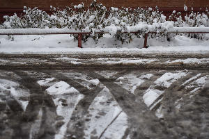 Снег в Краснодаре © Фото Елены Синеок, Юга.ру