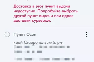  &copy;&nbsp;Скриншот маркетплейса Ozon