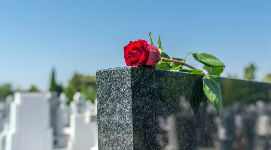  &copy;&nbsp;Фото Serdjo Photo, freepik.com