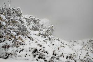  © Фото пресс-службы Курорта Красная Поляна