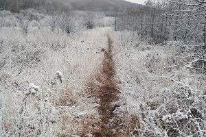  © Фото пресс-службы Кавказского заповедника