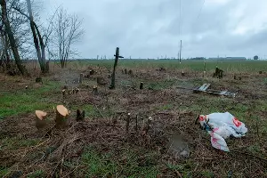 Окрестности белореченского полигона &laquo;Крайжилкомресурс&raquo; &copy;&nbsp;Фото Дмитрия Пославского, Юга.ру